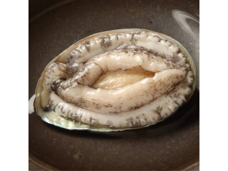Marukyu Ryokan Izu  Zewnętrze zdjęcie